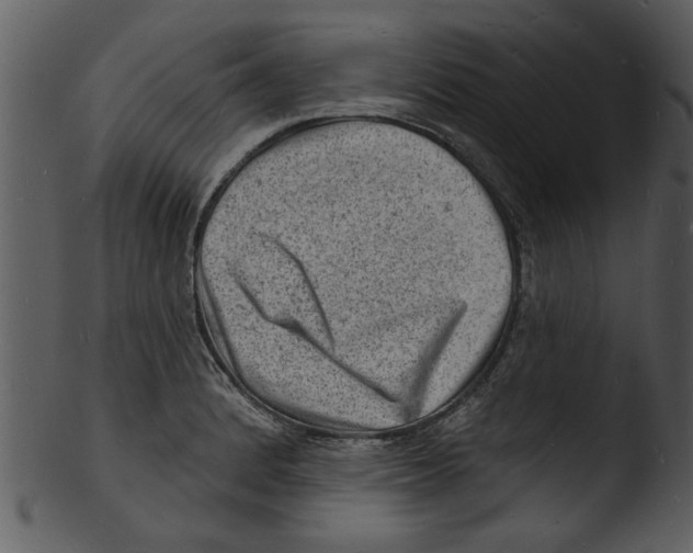 X0000103241184200809251320