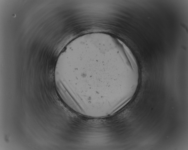 X0000103241185200809251320