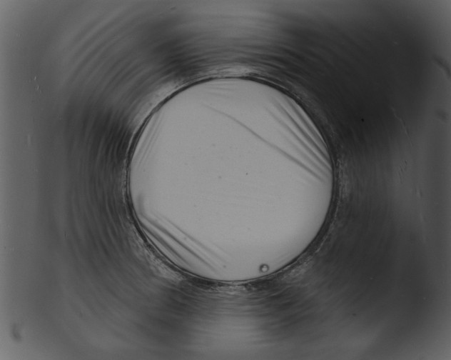 X0000103241186200809251320