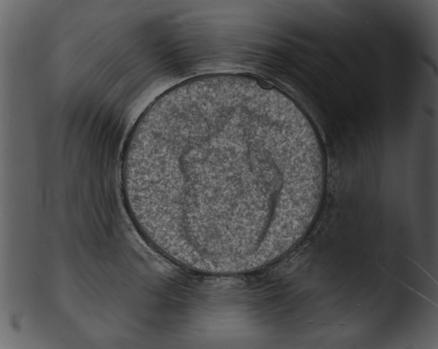 X0000103241187200809251320