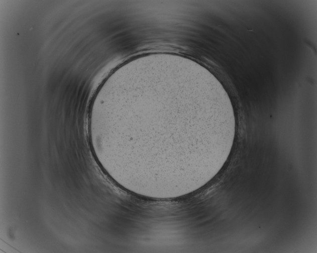 X0000103241188200809251320