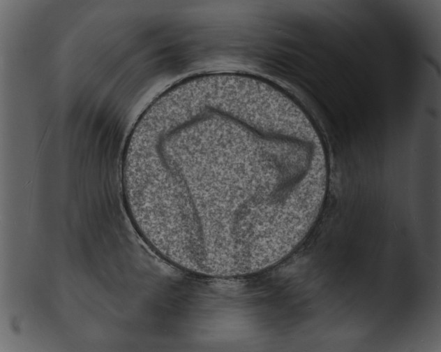 X0000103241191200809251320