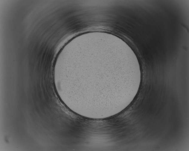 X0000103241192200809251320