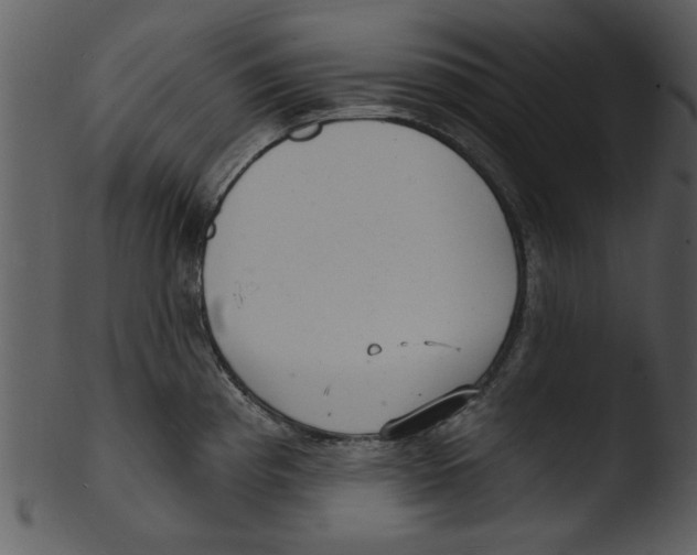 X0000103241193200809251320