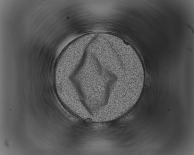 X0000103241195200809251320