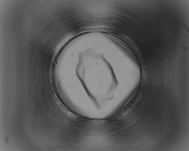 X0000103241196200809251320