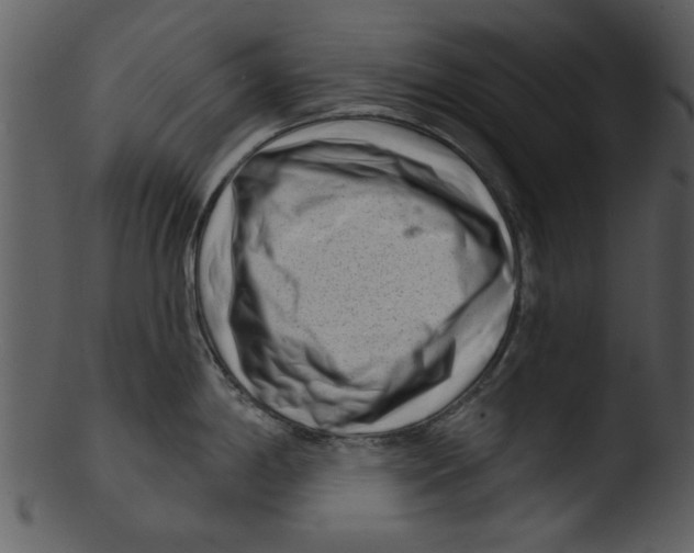 X0000103241198200809251320