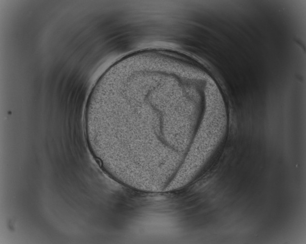 X0000103241199200809251320