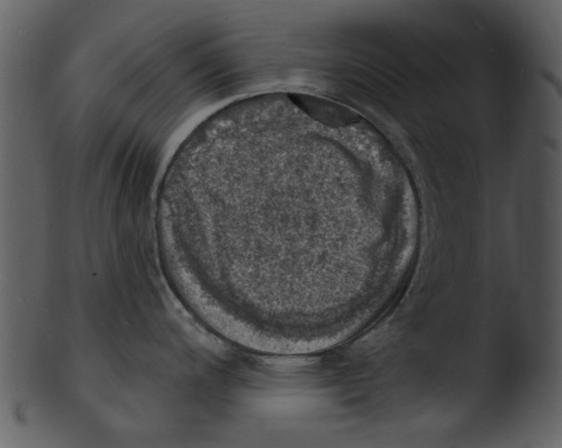 X0000103241200200809251320