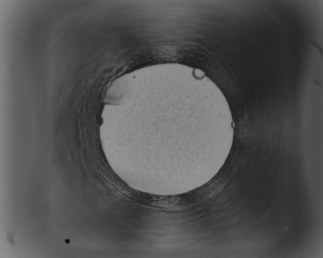 X0000103241201200809251319