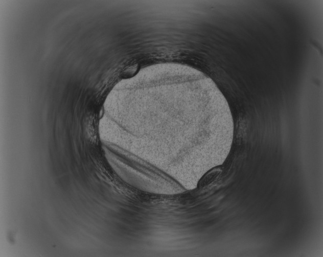 X0000103241202200809251319