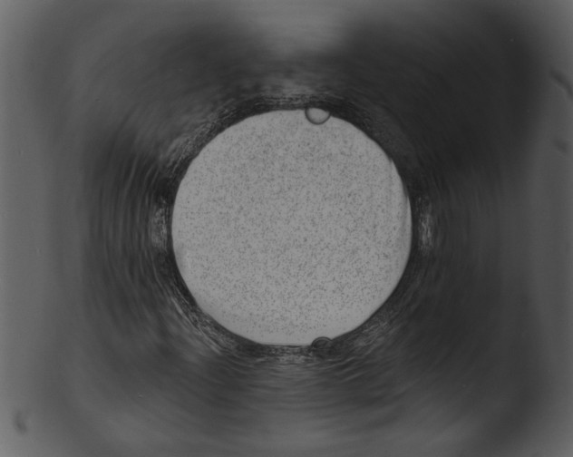 X0000103241204200809251319