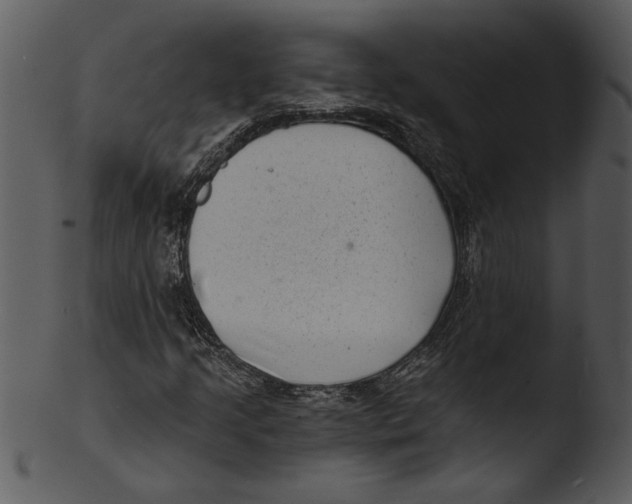 X0000103241205200809251319