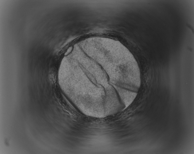 X0000103241206200809251319