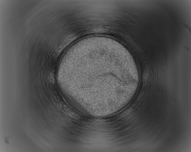 X0000103241209200809251319