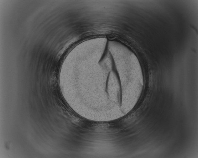 X0000103241210200809251319