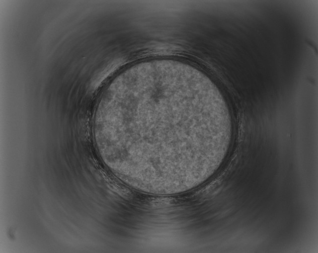 X0000103241211200809251319