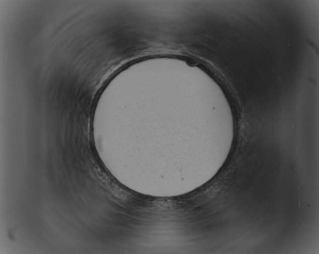 X0000103241220200809251320