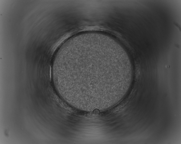 X0000103241221200809251320