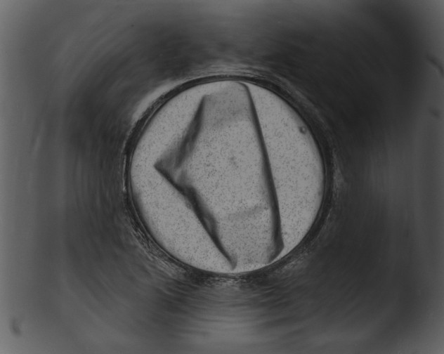 X0000103241222200809251320