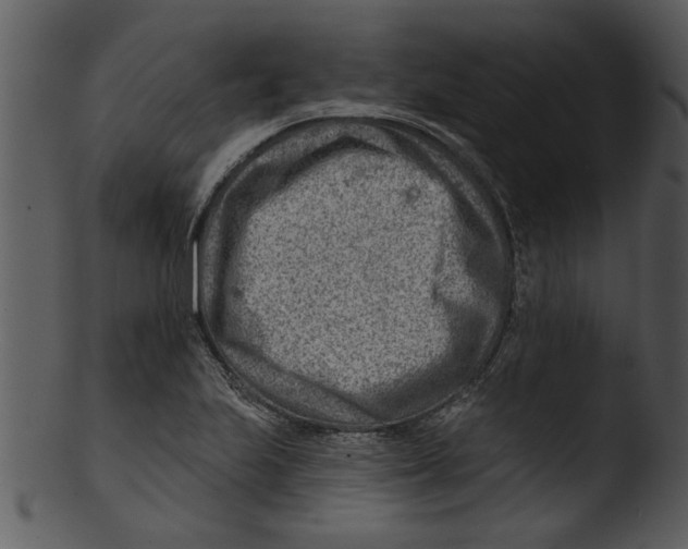 X0000103241223200809251320