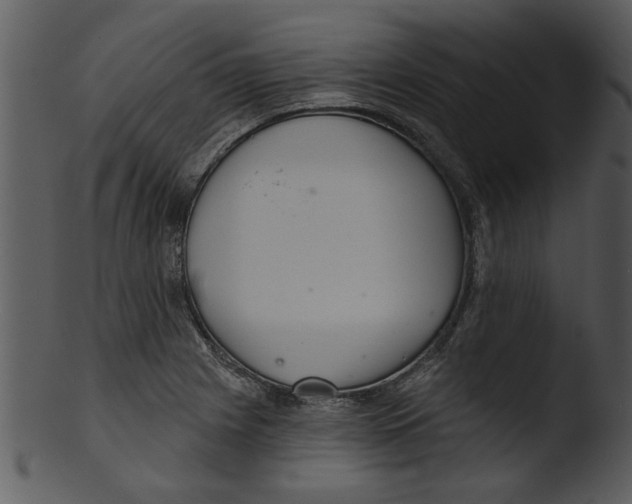 X0000103241225200809251320