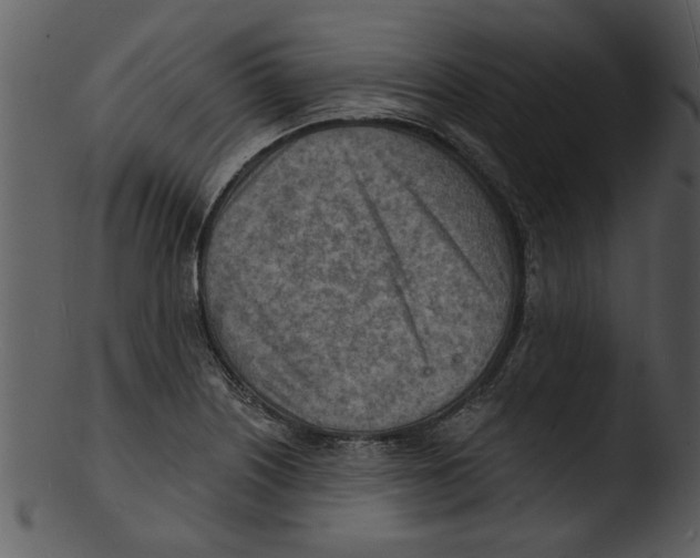 X0000103241226200809251320