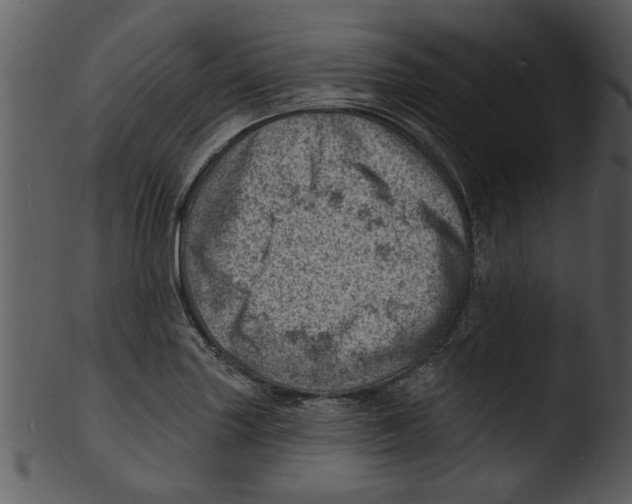 X0000103241227200809251320