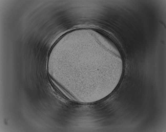 X0000103241228200809251320