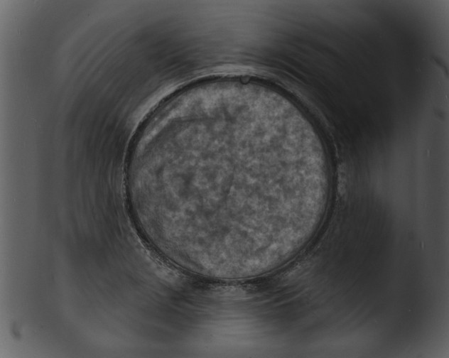 X0000103241229200809251320