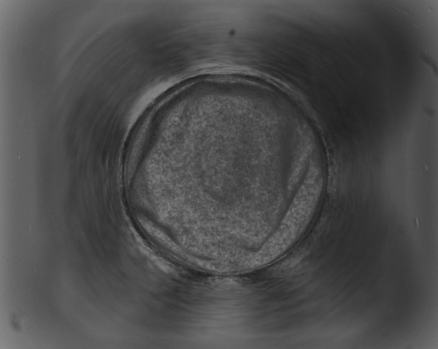 X0000103241231200809251320