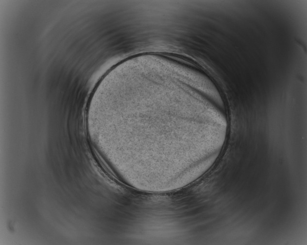 X0000103241238200809251320