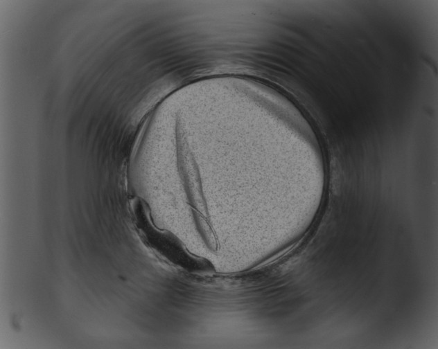 X0000103241241200809251320