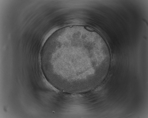 X0000103241243200809251320