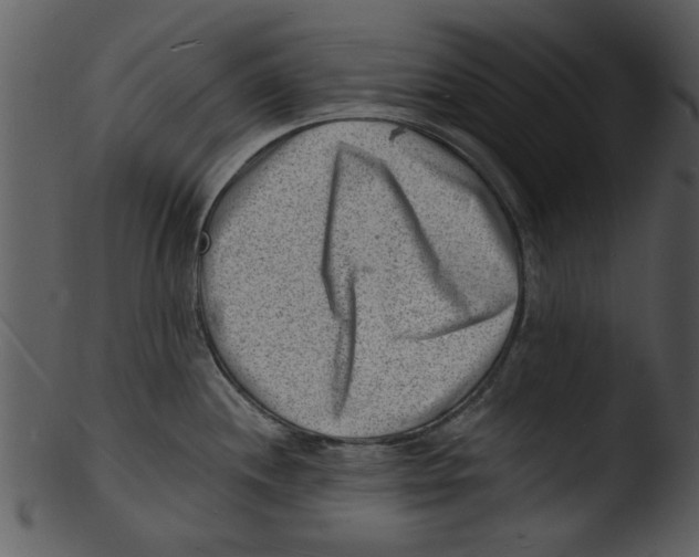 X0000103241244200809251320