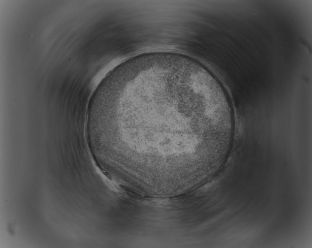 X0000103241245200809251320