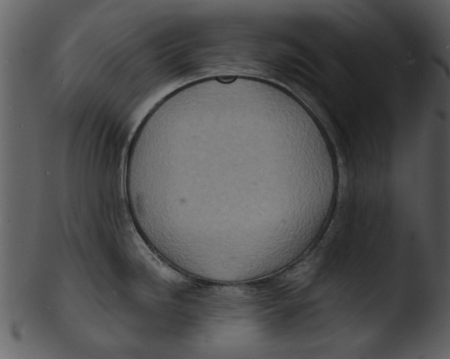 X0000103241246200809251320