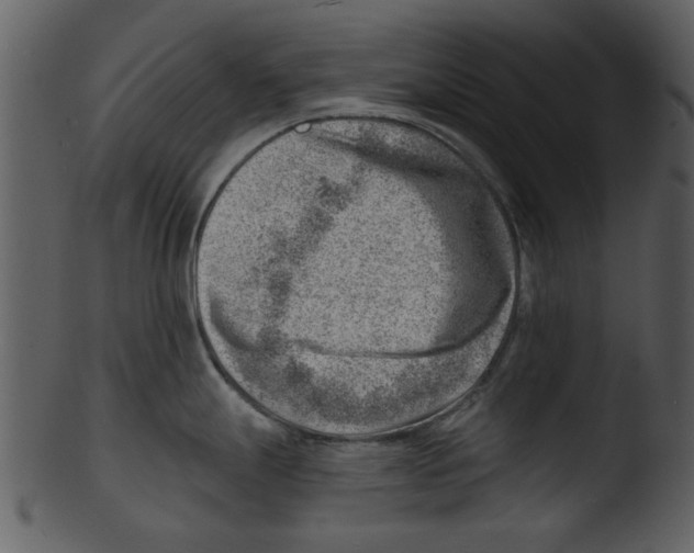 X0000103241247200809251320