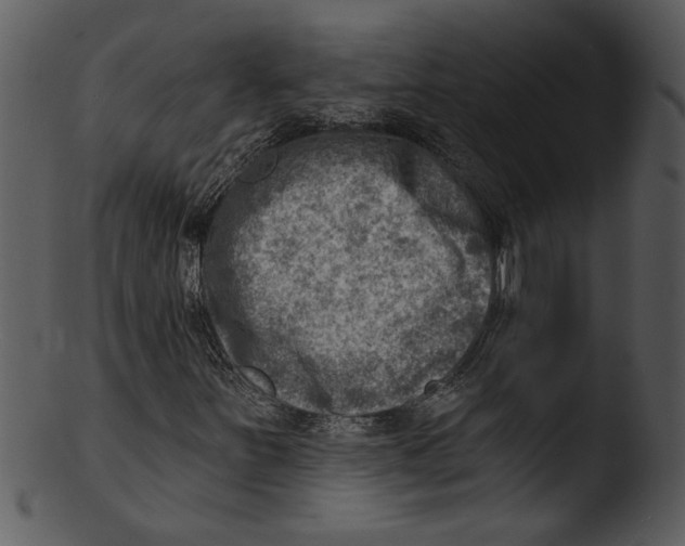 X0000103241251200809251319