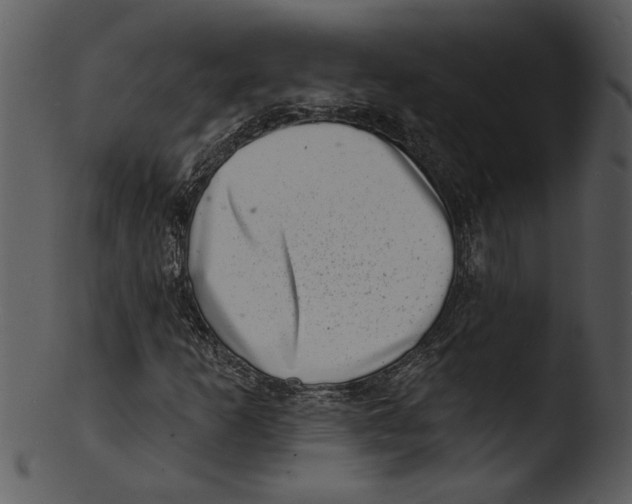 X0000103241253200809251319