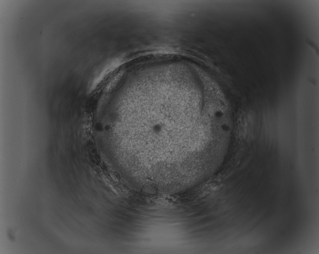 X0000103241255200809251319