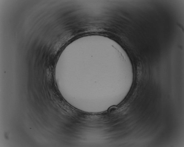 X0000103241257200809251319