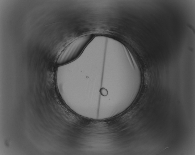 X0000103241260200809251319