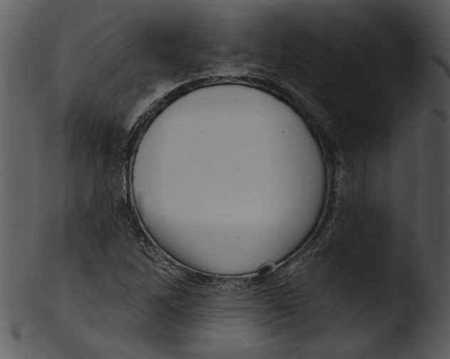 X0000103241262200809251319