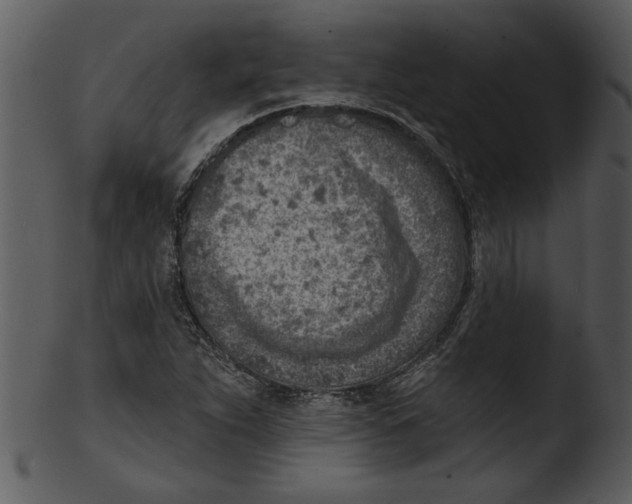 X0000103241263200809251319