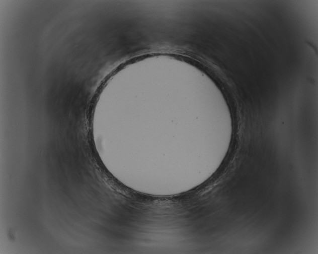 X0000103241264200809251319