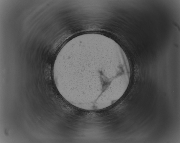 X0000103241265200809251319