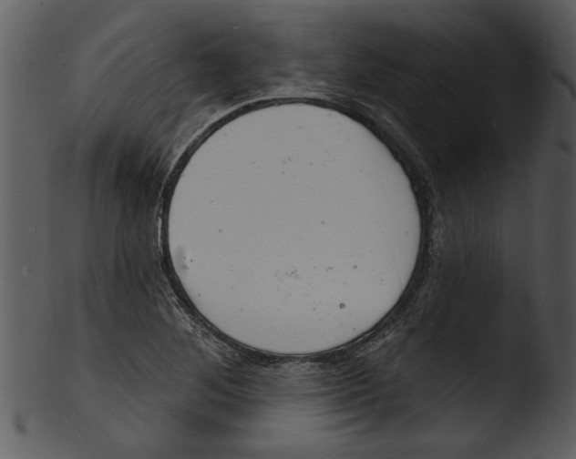 X0000103241268200809251319