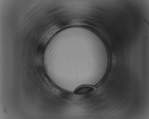 X0000103241273200809251319