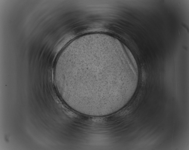 X0000103241274200809251319